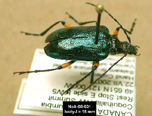  ( - NoA-08-031)  @13 [ ] Unspecified (default): All Rights Reserved  Unspecified Unspecified