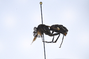  ( - UUPomp_208)  @11 [ ] CreativeCommons - Attribution Share-Alike (2025) Unspecified Union University