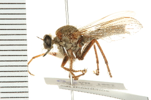  ( - CGDTA-008)  @11 [ ] CreativeCommons - Attribution (2009) CBG Photography Group Centre for Biodiversity Genomics
