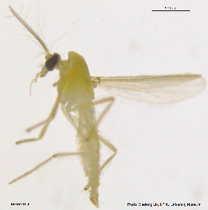  ( - MHMA03)  @11 [ ] CreativeCommons - Attribution Non-Commercial Share-Alike (2018) Xiaolong Lin College of Life Sciences, Nankai University