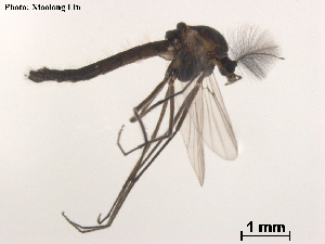  ( - XL1151)  @11 [ ] CreativeCommons - Attribution Non-Commercial Share-Alike (2018) Xiaolong Lin College of Life Sciences, Nankai University