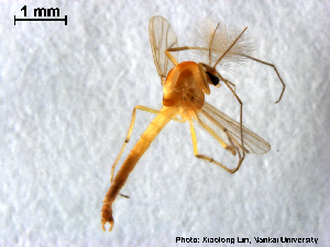  ( - XL1626)  @11 [ ] CreativeCommons - Attribution Non-Commercial Share-Alike (2019) Xiaolong Lin College of Life Sciences, Nankai University