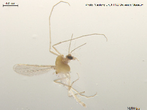  ( - XL538)  @11 [ ] CreativeCommons - Attribution Non-Commercial Share-Alike (2018) Xiaolong Lin College of Life Sciences, Nankai University