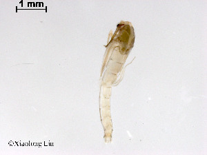  ( - ZJ298)  @11 [ ] CreativeCommons - Attribution Non-Commercial Share-Alike (2019) Xiaolong Lin College of Life Sciences, Nankai University