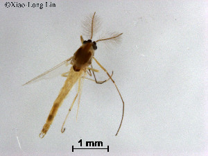  ( - ZJ673)  @11 [ ] CreativeCommons-Attribution Non-Commercial Share-Alike (2020) Xiaolong Lin Nankai University, College of Life Sciences