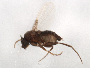  ( - BIOUG01920-H08)  @13 [ ] CreativeCommons - Attribution (2012) CBG Photography Group Centre for Biodiversity Genomics