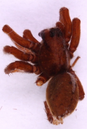  ( - ZMUO_00024)  @12 [ ] No Rights Reserved (2010) Marko Mutanen University of Oulu