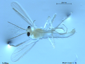  ( - XJ54)  @11 [ ] CreativeCommons - Attribution Non-Commercial Share-Alike (2016) Nankai University, College of Life Sciences Nankai University, College of Life Sciences