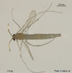  ( - XJ6)  @11 [ ] CreativeCommons - Attribution Non-Commercial Share-Alike (2016) Nankai University, College of Life Sciences Nankai University, College of Life Sciences