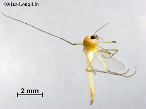  ( - LZB59)  @11 [ ] CreativeCommons-Attribution Non-Commercial Share-Alike (2020) Xiaolong Lin Nankai University, College of Life Sciences