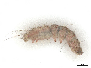  ( - CBG-B21798-H09)  @11 [ ] CreativeCommons - Attribution Share - Alike (2025) CBG Photography Group Centre for Biodiversity Genomics