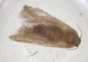  ( - CBG-B22803-H11)  @11 [ ] CreativeCommons - Attribution Share - Alike (2025) Centre for Biodiversity Genomics Centre for Biodiversity Genomics