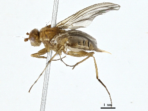  ( - BIOUG97794-E04)  @11 [ ] CreativeCommons - Attribution (2023) CBG Photography Group Centre for Biodiversity Genomics