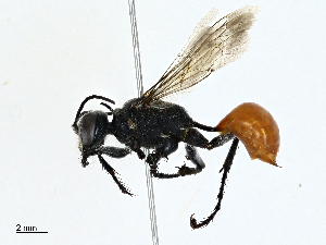  ( - BIOUG97795-F04)  @11 [ ] CreativeCommons - Attribution (2023) CBG Photography Group Centre for Biodiversity Genomics