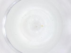  ( - CBG-B00549-A09)  @11 [ ] CreativeCommons - Attribution Share - Alike (2025) Centre for Biodiversity Genomics Centre for Biodiversity Genomics