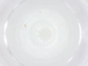  ( - CBG-B00549-B04)  @11 [ ] CreativeCommons - Attribution Share - Alike (2025) Centre for Biodiversity Genomics Centre for Biodiversity Genomics