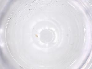  ( - CBG-B00573-H03)  @11 [ ] CreativeCommons - Attribution Share - Alike (2025) Centre for Biodiversity Genomics Centre for Biodiversity Genomics