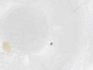  ( - CBG-B02150-C06)  @11 [ ] CreativeCommons - Attribution Share - Alike (2025) Centre for Biodiversity Genomics Centre for Biodiversity Genomics