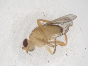  ( - CBG-B23177-B11)  @11 [ ] CreativeCommons - Attribution Share - Alike (2025) Centre for Biodiversity Genomics Centre for Biodiversity Genomics