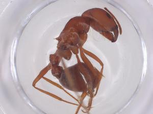  ( - CBG-B20394-E05)  @11 [ ] CreativeCommons - Attribution Share - Alike (2025) Centre for Biodiversity Genomics Centre for Biodiversity Genomics