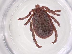  ( - CBG-B20749-H04)  @11 [ ] CreativeCommons - Attribution Share - Alike (2025) Centre for Biodiversity Genomics Centre for Biodiversity Genomics