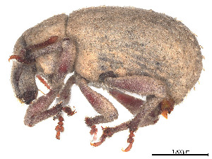  ( - 66-PT-03-FB3-F-22)  @11 [ ] CreativeCommons - Attribution Share - Alike (2023) CBG Photography Group Centre for Biodiversity Genomics