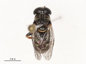  ( - CBG-B22616-F12)  @11 [ ] CreativeCommons - Attribution Share - Alike (2025) CBG Photography Group Centre for Biodiversity Genomics