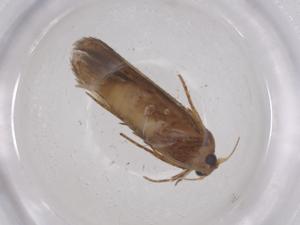  ( - CBG-B22646-E04)  @11 [ ] CreativeCommons - Attribution Share - Alike (2025) Centre for Biodiversity Genomics Centre for Biodiversity Genomics