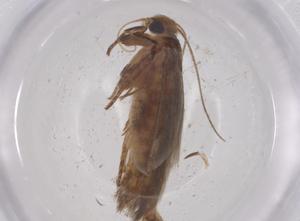  ( - CBG-B22646-F04)  @11 [ ] CreativeCommons - Attribution Share - Alike (2025) Centre for Biodiversity Genomics Centre for Biodiversity Genomics