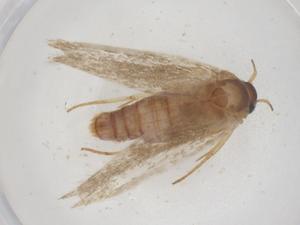  ( - CBG-B23030-A06)  @11 [ ] CreativeCommons - Attribution Share - Alike (2025) Centre for Biodiversity Genomics Centre for Biodiversity Genomics