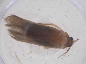  ( - CBG-B23118-C04)  @11 [ ] CreativeCommons - Attribution Share - Alike (2025) Centre for Biodiversity Genomics Centre for Biodiversity Genomics