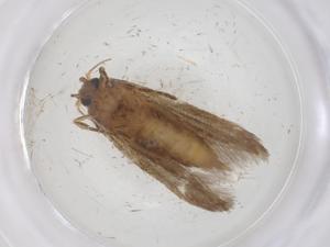  ( - CBG-B23119-A09)  @11 [ ] CreativeCommons - Attribution Share - Alike (2025) Centre for Biodiversity Genomics Centre for Biodiversity Genomics