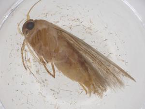  ( - CBG-B23119-F08)  @11 [ ] CreativeCommons - Attribution Share - Alike (2025) Centre for Biodiversity Genomics Centre for Biodiversity Genomics