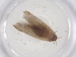  ( - CBG-B23119-G03)  @11 [ ] CreativeCommons - Attribution Share - Alike (2025) Centre for Biodiversity Genomics Centre for Biodiversity Genomics