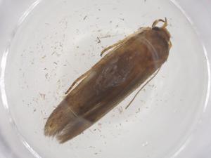  ( - CBG-B23119-G09)  @11 [ ] CreativeCommons - Attribution Share - Alike (2025) Centre for Biodiversity Genomics Centre for Biodiversity Genomics