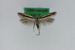  ( - 1396PF)  @11 [ ] by-nc-sa (2018) Per Falck Zoologisk Museum Copenhagen