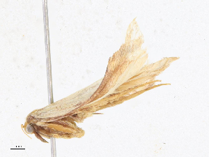  ( - CBG-A18356-H03)  @11 [ ] CreativeCommons - Attribution Share - Alike (2023) CBG Photography Group Centre for Biodiversity Genomics