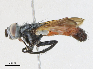  ( - CBG-A21608-E02)  @11 [ ] CreativeCommons - Attribution Share - Alike (2023) CBG Photography Group Centre for Biodiversity Genomics