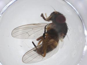  ( - CBG-A19365-F07)  @11 [ ] CreativeCommons - Attribution Share - Alike (2023) Centre for Biodiversity Genomics Centre for Biodiversity Genomics