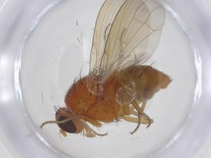  ( - CBG-A21136-C08)  @11 [ ] CreativeCommons - Attribution Share - Alike (2023) Centre for Biodiversity Genomics Centre for Biodiversity Genomics