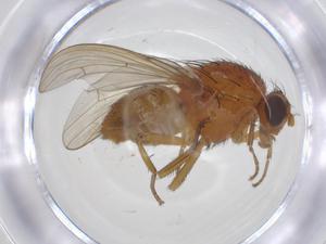  ( - CBG-A21136-G04)  @11 [ ] CreativeCommons - Attribution Share - Alike (2023) Centre for Biodiversity Genomics Centre for Biodiversity Genomics