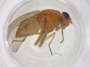  ( - CBG-A21140-A03)  @11 [ ] CreativeCommons - Attribution Share - Alike (2023) Centre for Biodiversity Genomics Centre for Biodiversity Genomics