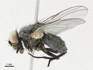  ( - CBG-A21684-E11)  @11 [ ] CreativeCommons - Attribution Share - Alike (2023) CBG Photography Group Centre for Biodiversity Genomics