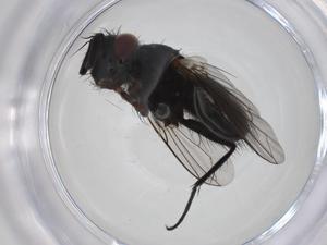  ( - CBG-A22438-H10)  @11 [ ] CreativeCommons - Attribution Share - Alike (2023) Centre for Biodiversity Genomics Centre for Biodiversity Genomics