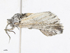  ( - CBG-A23392-H04)  @11 [ ] CreativeCommons - Attribution Share - Alike (2023) CBG Photography Group Centre for Biodiversity Genomics