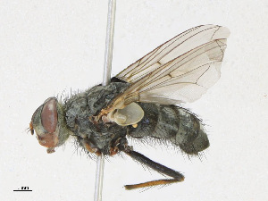  ( - CBG-A24204-F07)  @11 [ ] CreativeCommons - Attribution Share - Alike (2023) CBG Photography Group Centre for Biodiversity Genomics