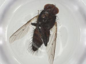  ( - CBG-A26215-G05)  @11 [ ] CreativeCommons - Attribution Share - Alike (2024) Centre for Biodiversity Genomics Centre for Biodiversity Genomics