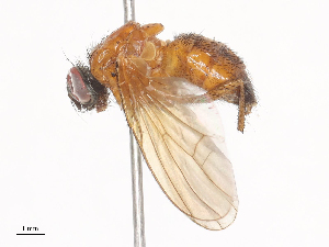  ( - CBG-A40124-B09)  @11 [ ] CreativeCommons - Attribution Share - Alike (2024) CBG Photography Group Centre for Biodiversity Genomics
