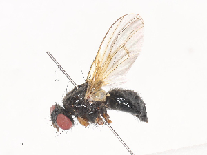  ( - CBG-A40124-H02)  @11 [ ] CreativeCommons - Attribution Share - Alike (2024) CBG Photography Group Centre for Biodiversity Genomics