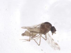  ( - CBG-A54143-E12)  @11 [ ] CreativeCommons - Attribution Share - Alike (2024) Centre for Biodiversity Genomics Centre for Biodiversity Genomics